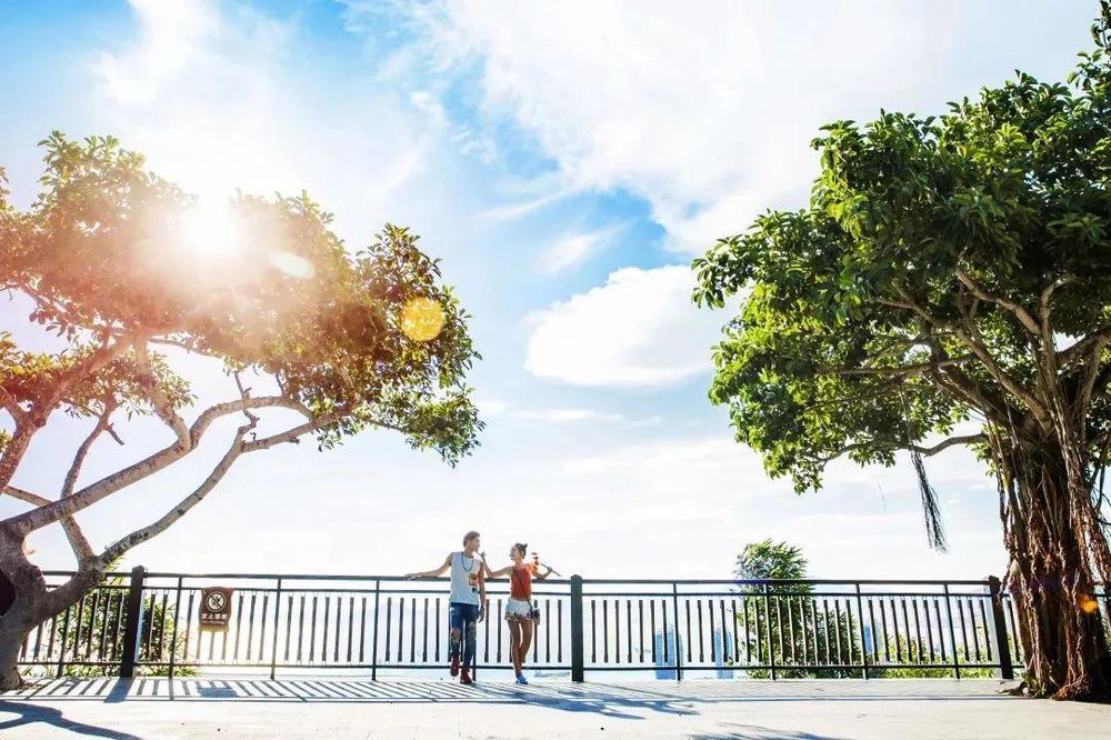 三亚旅游文化发展集团有限公司