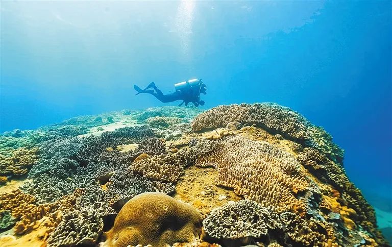 三亚旅游文化发展集团有限公司 三亚旅游文化发展集团有限公司