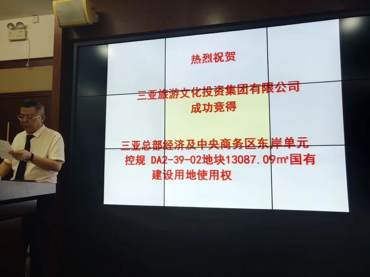 三亚旅游文化发展集团有限公司 三亚旅游文化发展集团有限公司