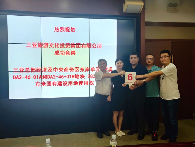 三亚旅游文化发展集团有限公司 三亚旅游文化发展集团有限公司