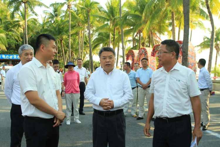 三亚旅游文化发展集团有限公司 三亚旅游文化发展集团有限公司