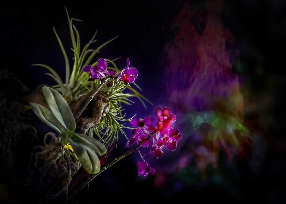 三亚旅游文化发展集团有限公司 三亚旅游文化发展集团有限公司