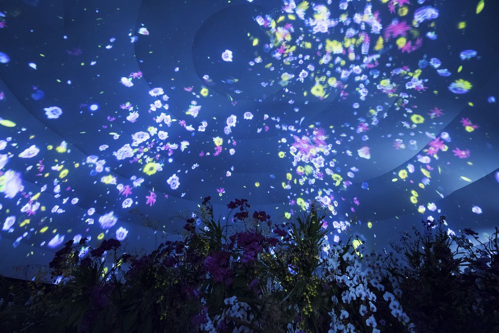 三亚旅游文化发展集团有限公司 三亚旅游文化发展集团有限公司