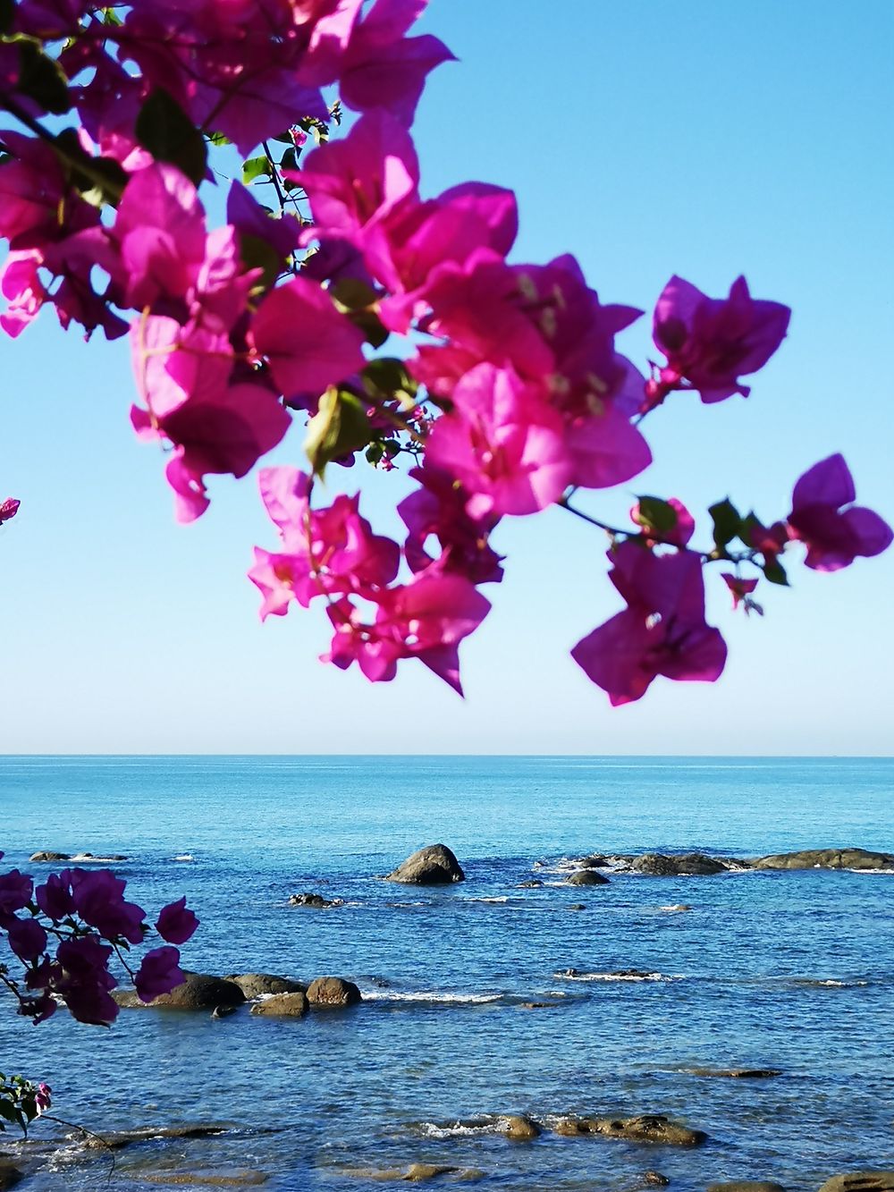 三亚旅游文化发展集团有限公司 三亚旅游文化发展集团有限公司