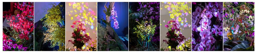 三亚旅游文化发展集团有限公司 三亚旅游文化发展集团有限公司