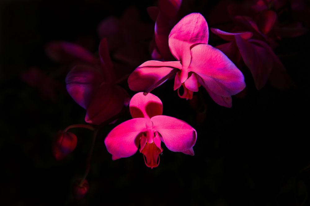 三亚旅游文化发展集团有限公司 三亚旅游文化发展集团有限公司