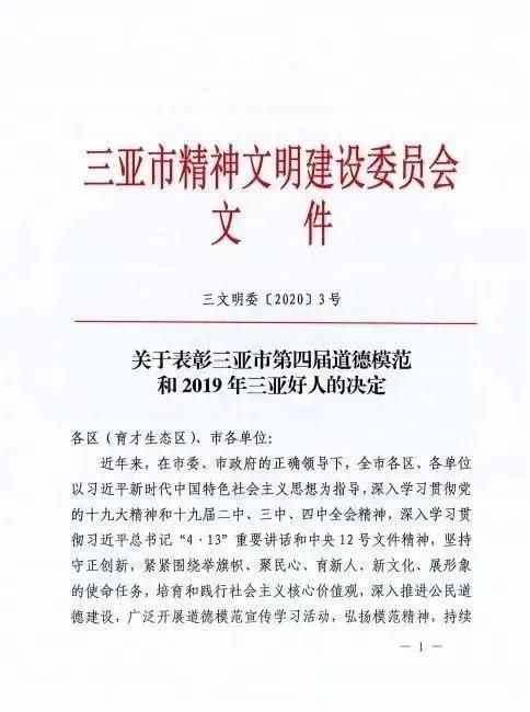 三亚旅游文化发展集团有限公司 三亚旅游文化发展集团有限公司