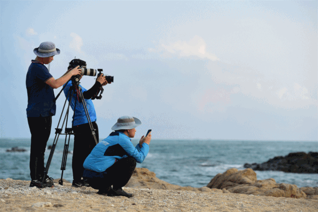 三亚旅游文化发展集团有限公司