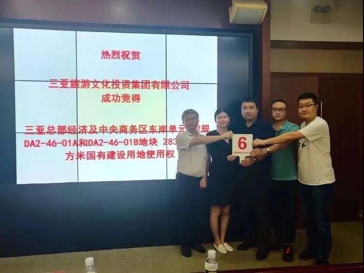 三亚旅游文化发展集团有限公司 三亚旅游文化发展集团有限公司