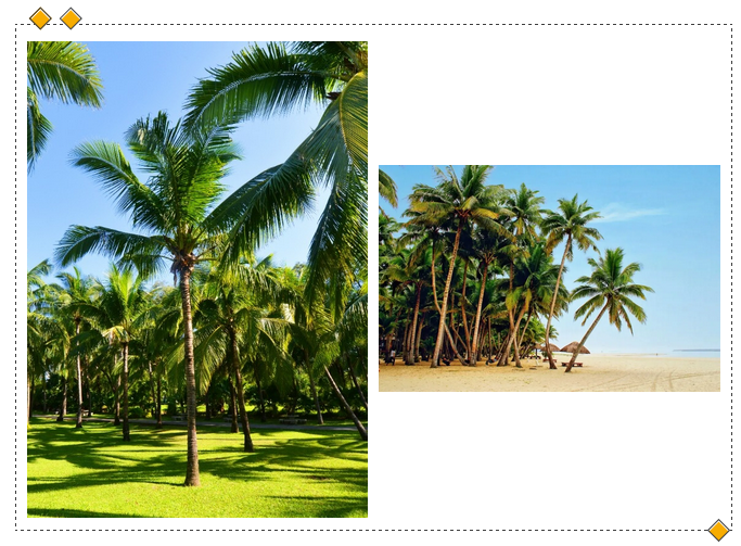 三亚旅游文化发展集团有限公司 三亚旅游文化发展集团有限公司