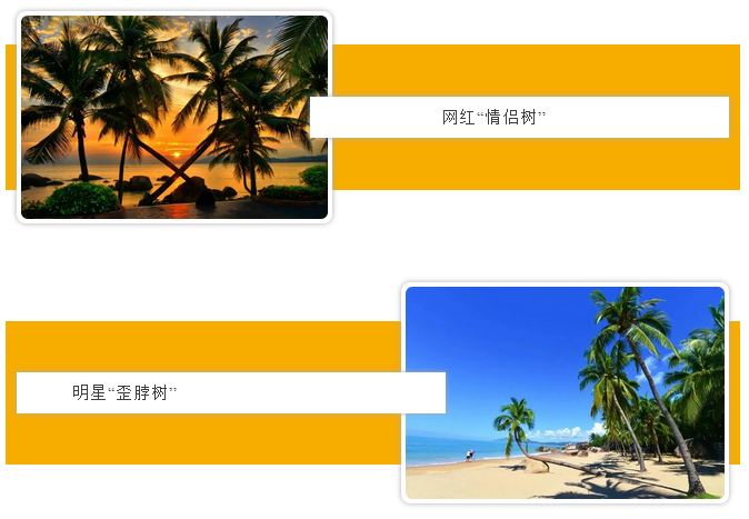 三亚旅游文化发展集团有限公司 三亚旅游文化发展集团有限公司