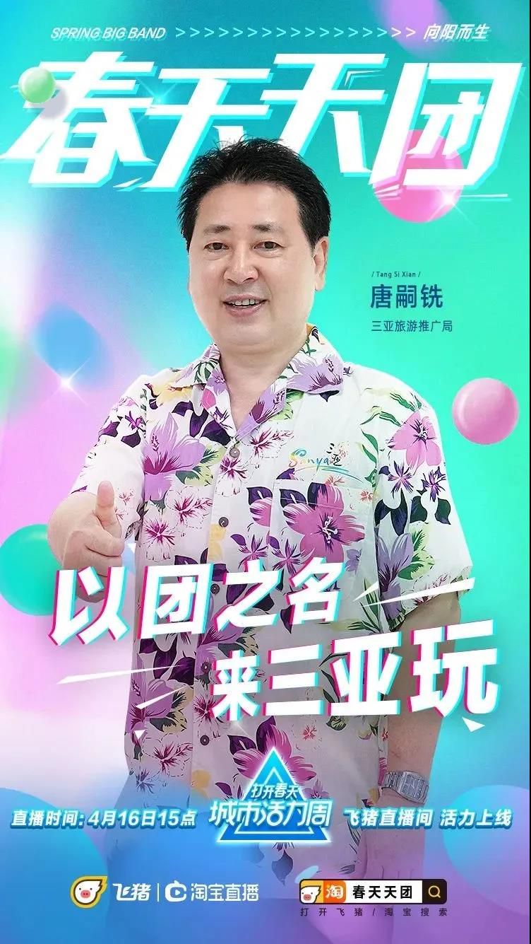 三亚旅游文化发展集团有限公司 三亚旅游文化发展集团有限公司