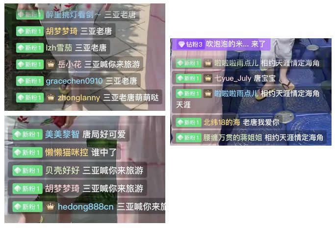 三亚旅游文化发展集团有限公司