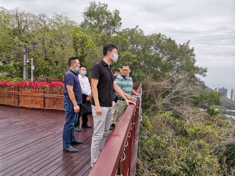 三亚旅游文化发展集团有限公司