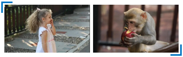 三亚旅游文化发展集团有限公司 三亚旅游文化发展集团有限公司