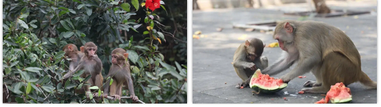 三亚旅游文化发展集团有限公司 三亚旅游文化发展集团有限公司