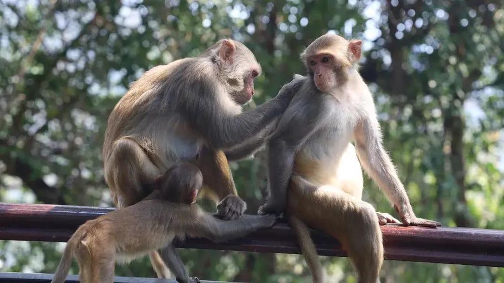 三亚旅游文化发展集团有限公司 三亚旅游文化发展集团有限公司