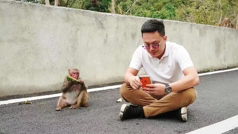 三亚旅游文化发展集团有限公司 三亚旅游文化发展集团有限公司