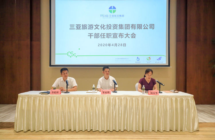 三亚旅游文化发展集团有限公司 三亚旅游文化发展集团有限公司