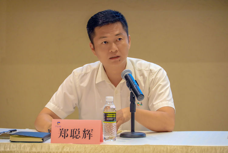 三亚旅游文化发展集团有限公司 三亚旅游文化发展集团有限公司