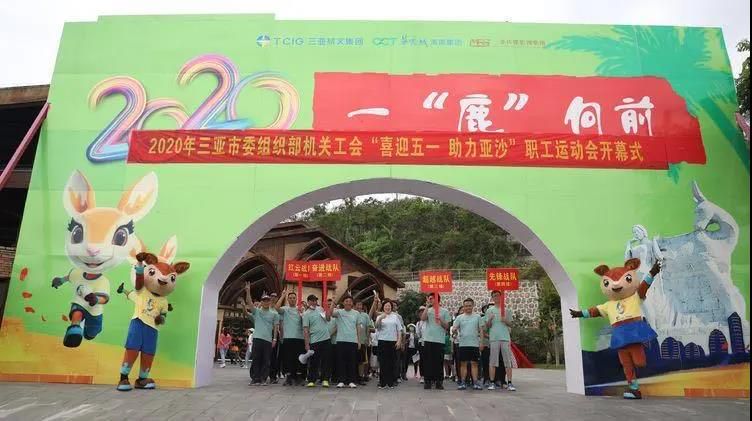 三亚旅游文化发展集团有限公司 三亚旅游文化发展集团有限公司