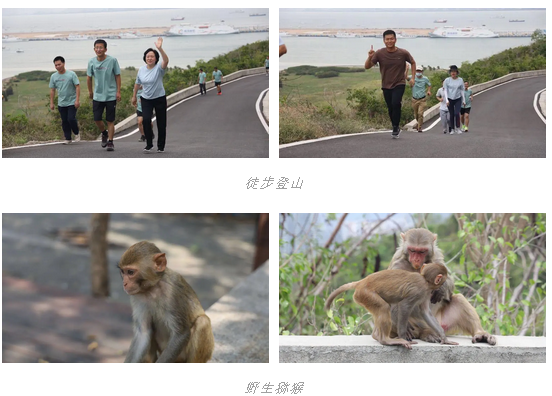 三亚旅游文化发展集团有限公司 三亚旅游文化发展集团有限公司