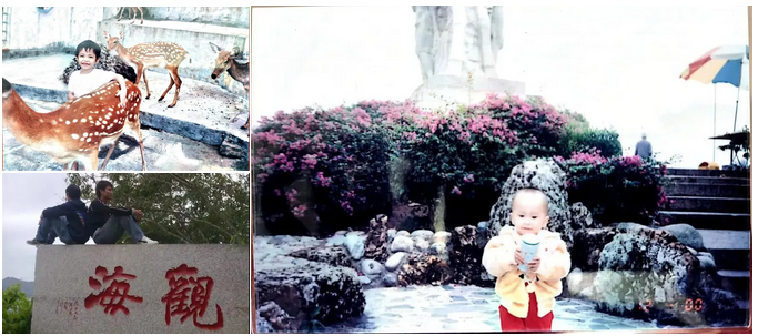 三亚旅游文化发展集团有限公司 三亚旅游文化发展集团有限公司