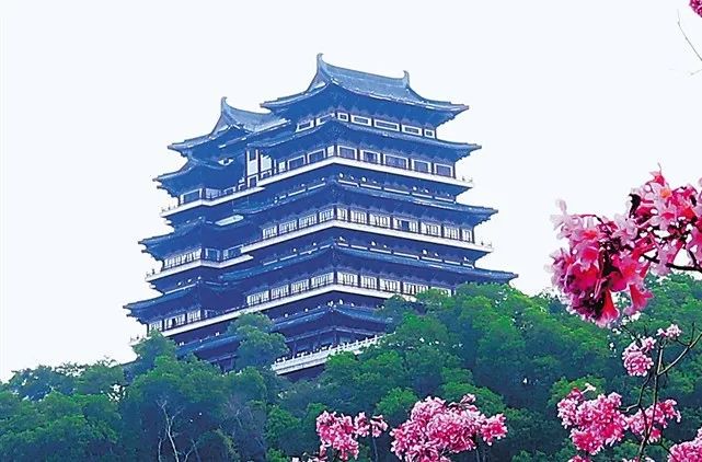 三亚旅游文化发展集团有限公司 三亚旅游文化发展集团有限公司