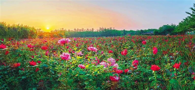 三亚旅游文化发展集团有限公司 三亚旅游文化发展集团有限公司