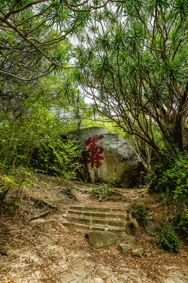 三亚旅游文化发展集团有限公司 三亚旅游文化发展集团有限公司