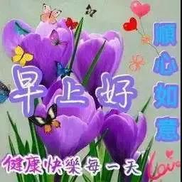 三亚旅游文化发展集团有限公司 三亚旅游文化发展集团有限公司