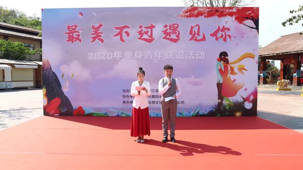 三亚旅游文化发展集团有限公司 三亚旅游文化发展集团有限公司