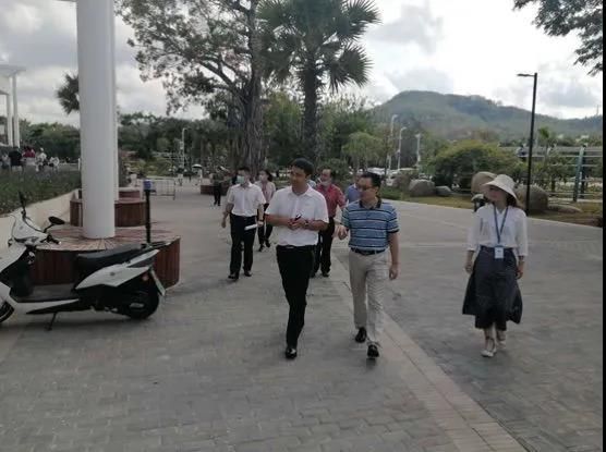 三亚旅游文化发展集团有限公司 三亚旅游文化发展集团有限公司