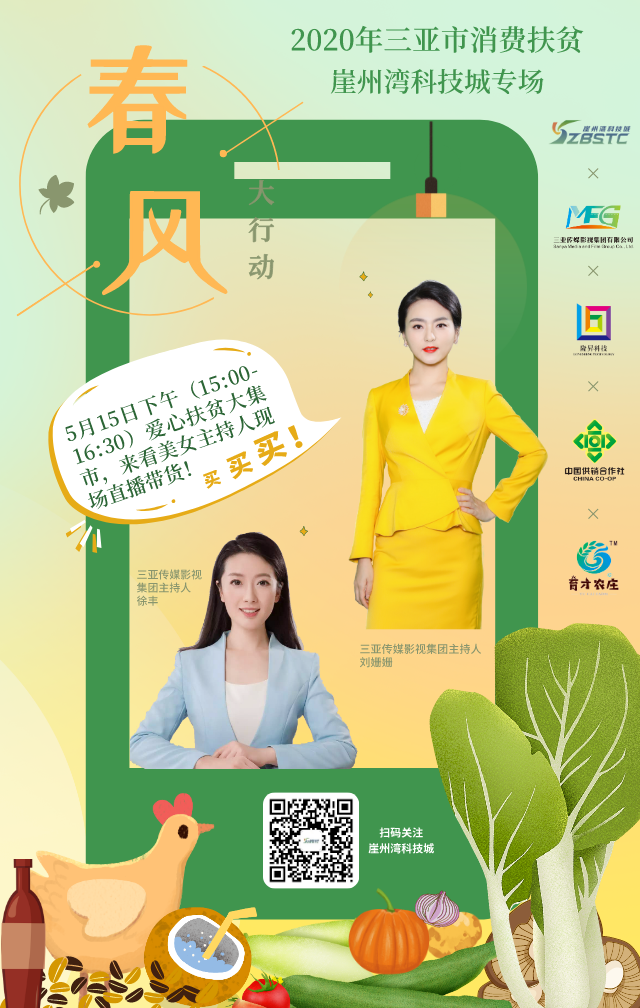 三亚旅游文化发展集团有限公司 三亚旅游文化发展集团有限公司