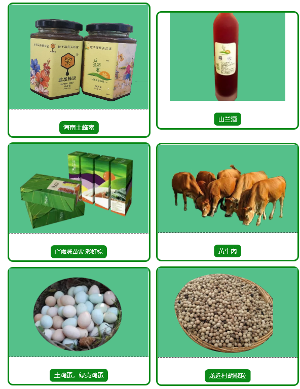 三亚旅游文化发展集团有限公司 三亚旅游文化发展集团有限公司