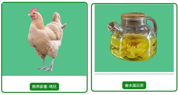 三亚旅游文化发展集团有限公司 三亚旅游文化发展集团有限公司