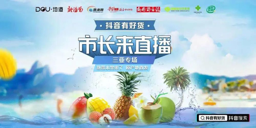 三亚旅游文化发展集团有限公司 三亚旅游文化发展集团有限公司