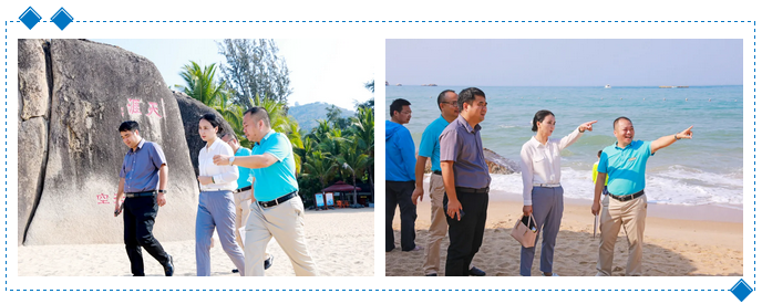 三亚旅游文化发展集团有限公司 三亚旅游文化发展集团有限公司