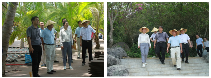 三亚旅游文化发展集团有限公司 三亚旅游文化发展集团有限公司