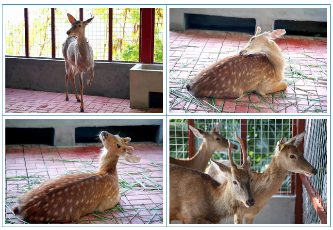 三亚旅游文化发展集团有限公司