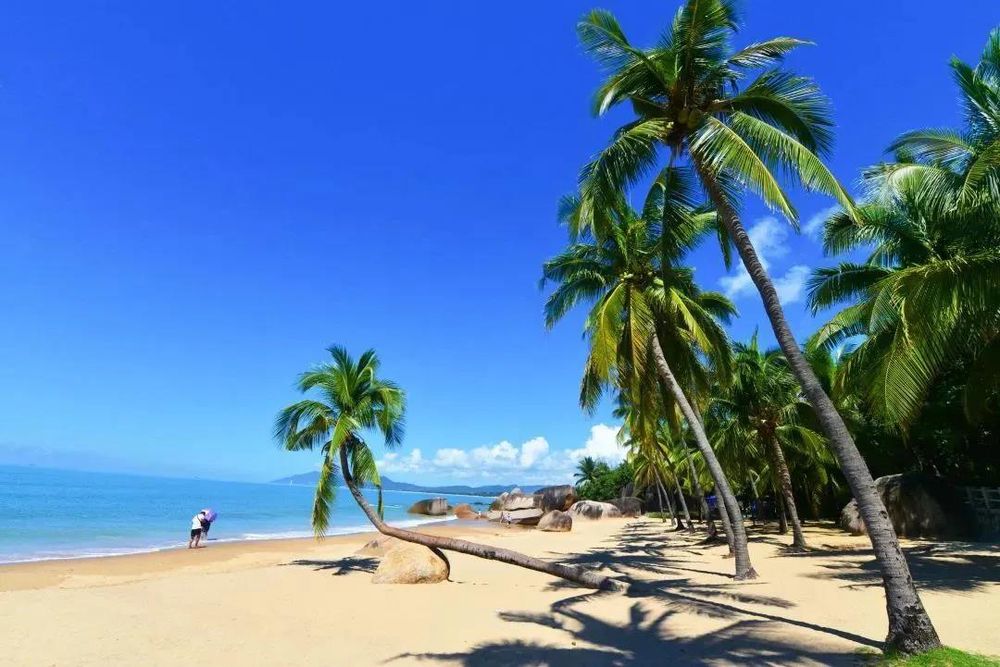 三亚旅游文化发展集团有限公司 三亚旅游文化发展集团有限公司