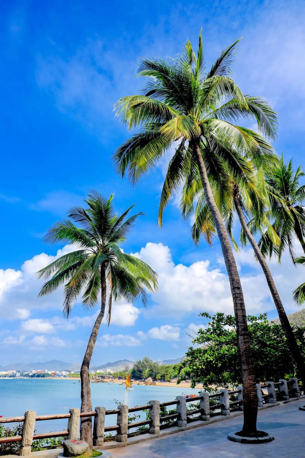 三亚旅游文化发展集团有限公司 三亚旅游文化发展集团有限公司