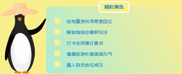 三亚旅游文化发展集团有限公司 三亚旅游文化发展集团有限公司