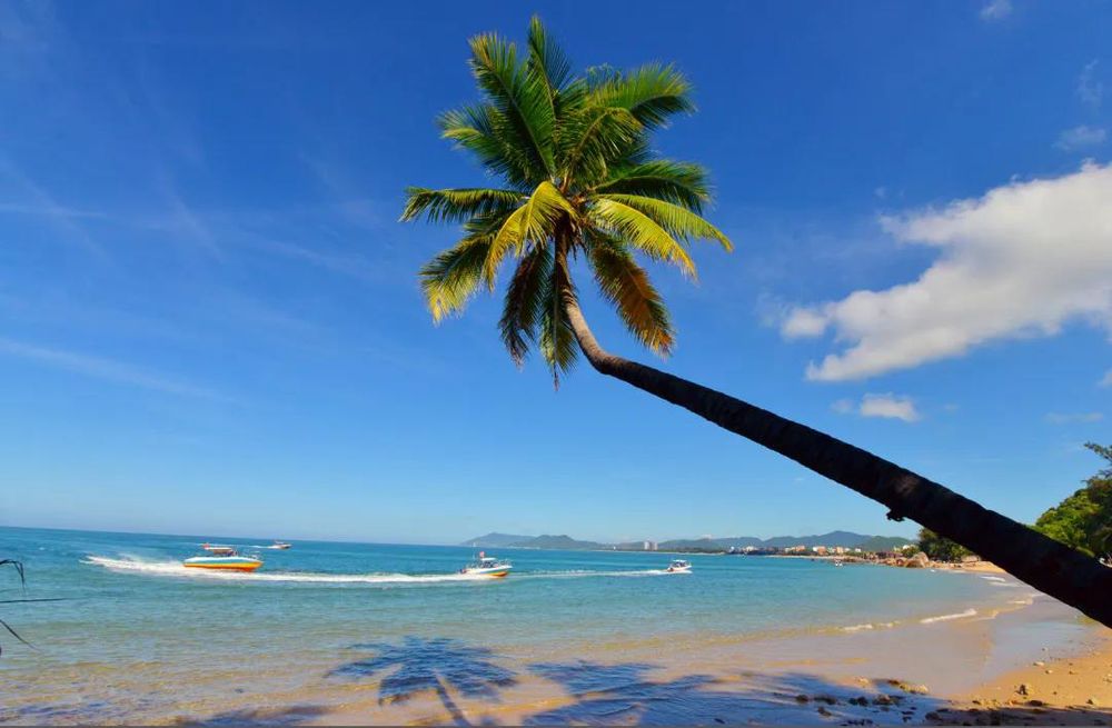 三亚旅游文化发展集团有限公司 三亚旅游文化发展集团有限公司