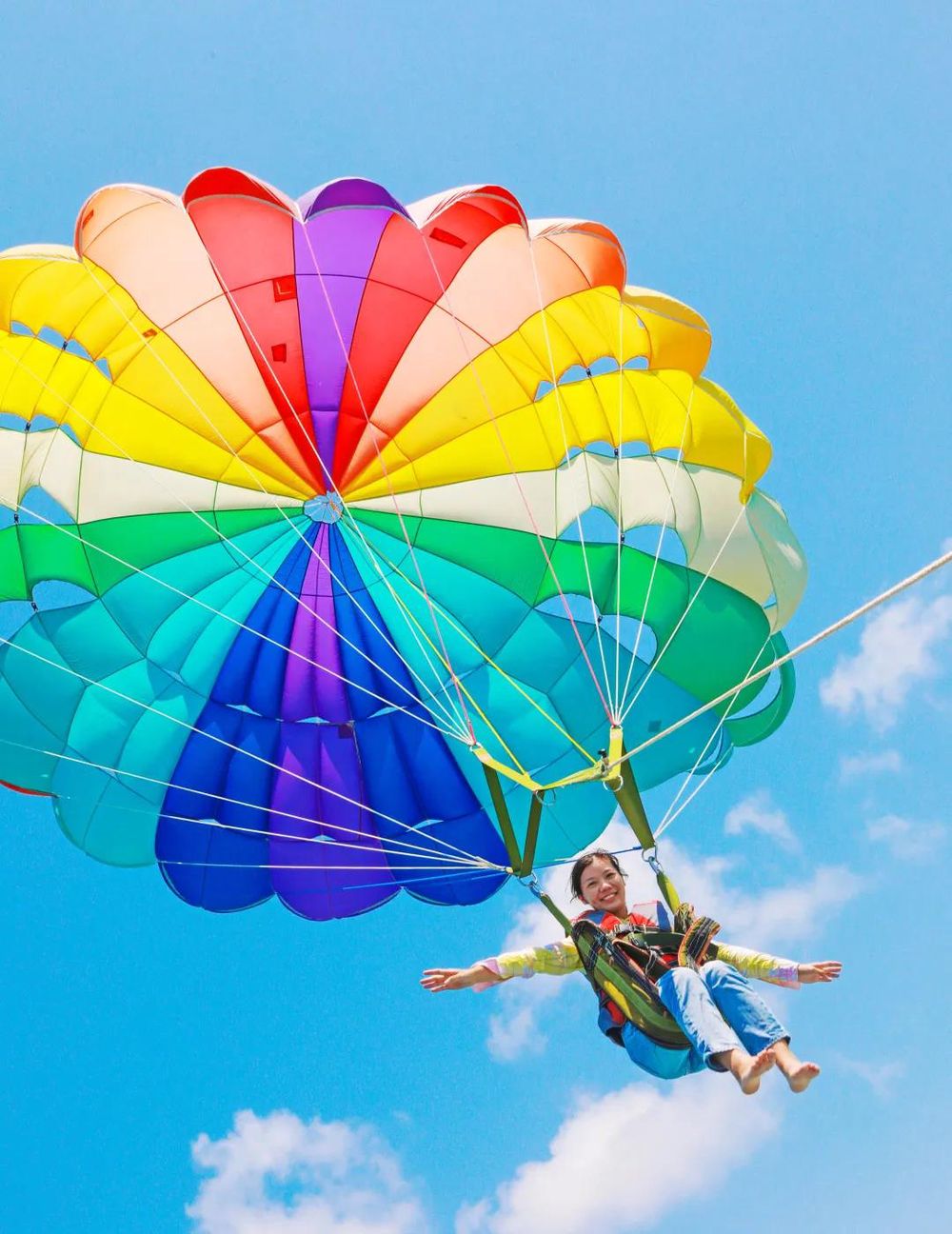 三亚旅游文化发展集团有限公司 三亚旅游文化发展集团有限公司