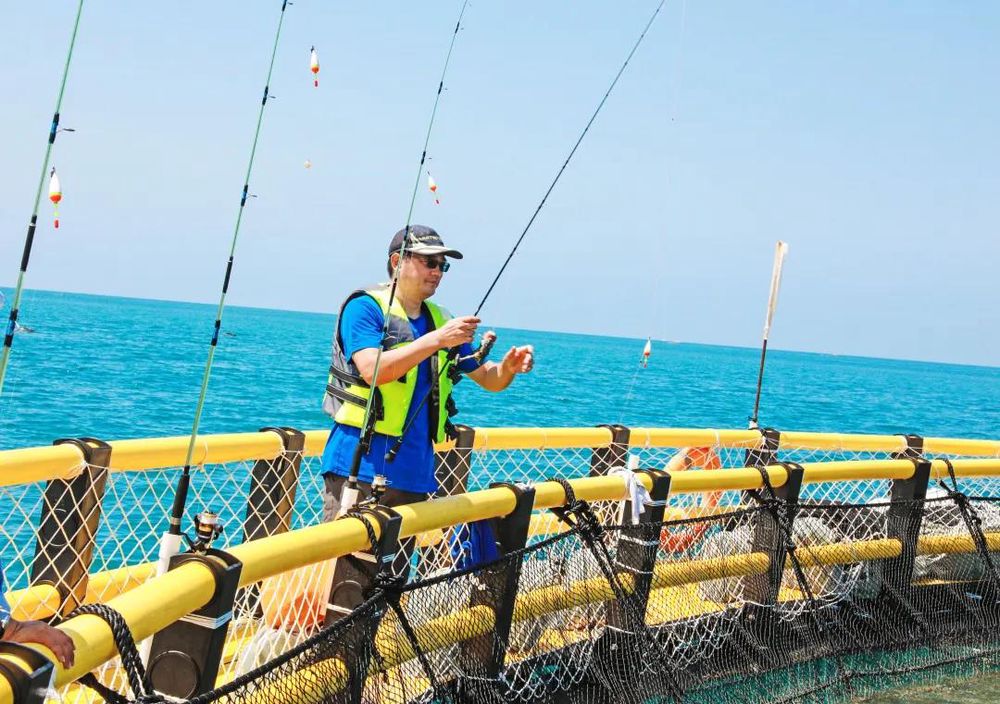 三亚旅游文化发展集团有限公司 三亚旅游文化发展集团有限公司