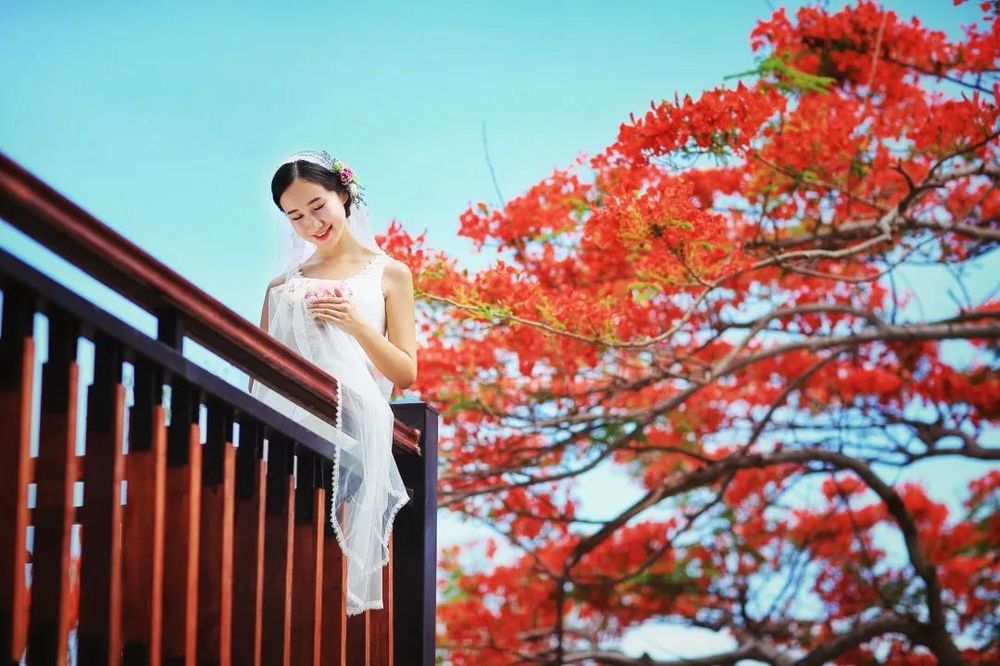 三亚旅游文化发展集团有限公司 三亚旅游文化发展集团有限公司