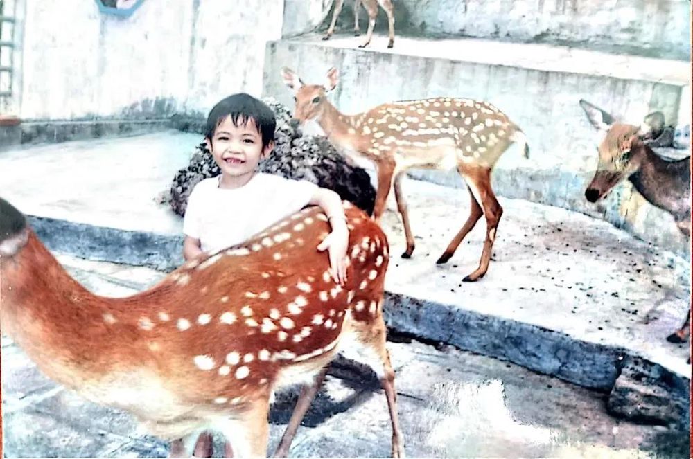 三亚旅游文化发展集团有限公司 三亚旅游文化发展集团有限公司