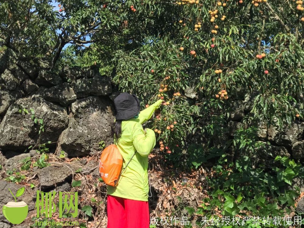 三亚旅游文化发展集团有限公司