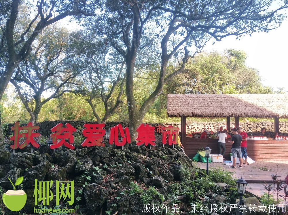 三亚旅游文化发展集团有限公司